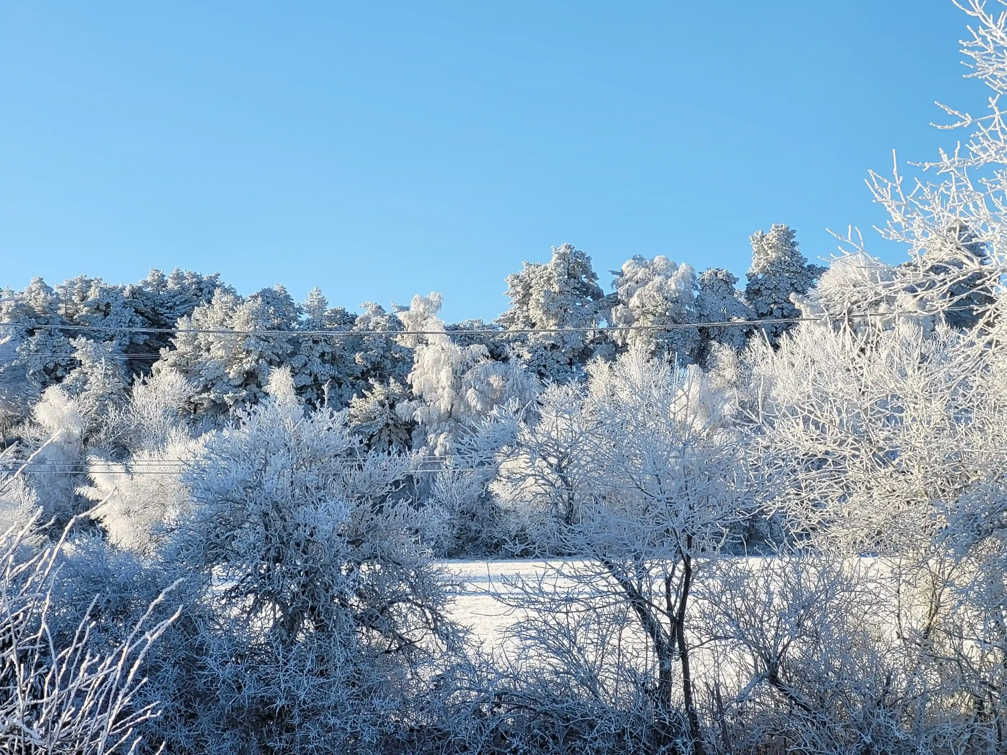 Le Clos de la Ronzière - Vue 2